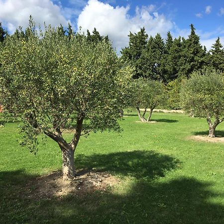 Le Mas Terre Des Anges Sarrians Esterno foto