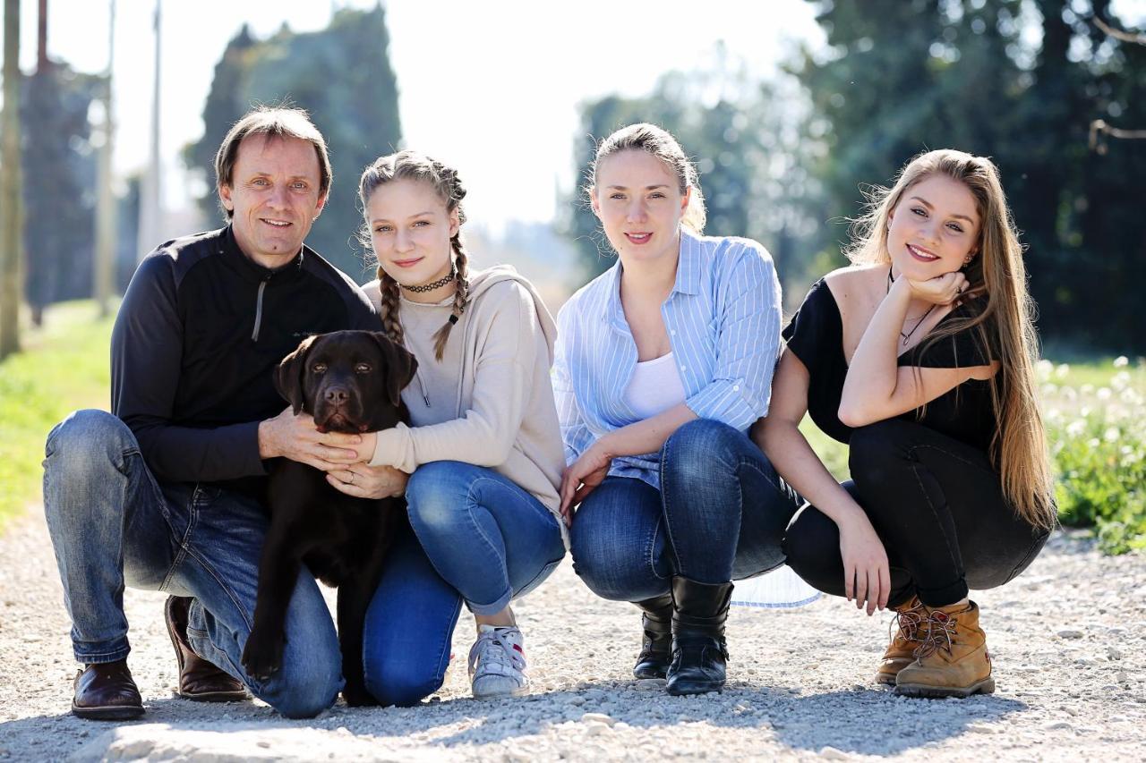 Le Mas Terre Des Anges Sarrians Esterno foto