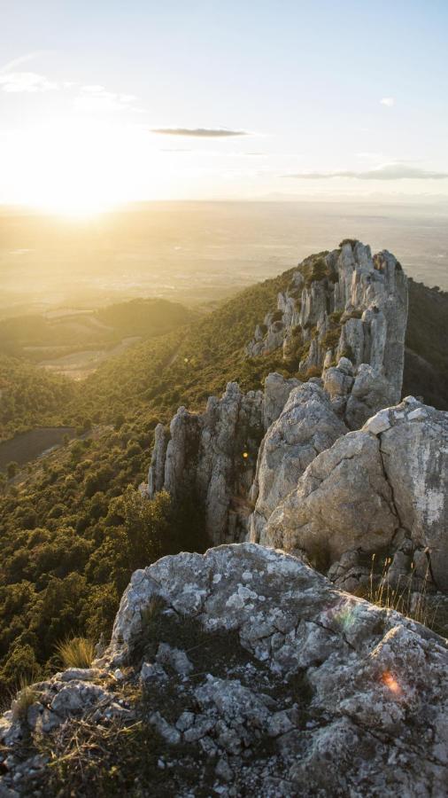 Le Mas Terre Des Anges Sarrians Esterno foto