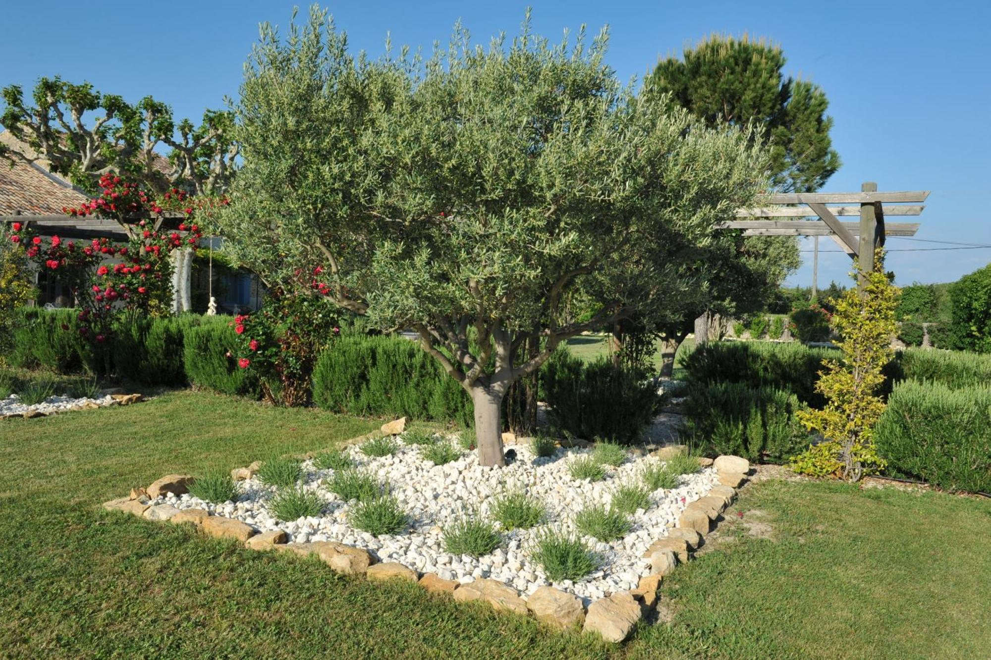 Le Mas Terre Des Anges Sarrians Esterno foto